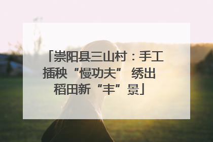 崇阳县三山村：手工插秧“慢功夫” 绣出稻田新“丰”景