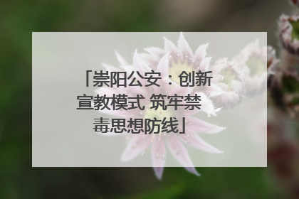 崇阳公安：创新宣教模式 筑牢禁毒思想防线