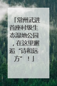 常州武进首座村级生态湿地公园，在这里邂逅“诗和远方”！