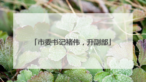 市委书记褚伟，升副部
