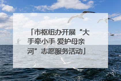 市枢纽办开展“大手牵小手 爱护母亲河”志愿服务活动