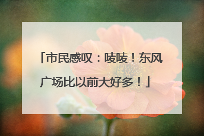 市民感叹：唛唛！东风广场比以前大好多！
