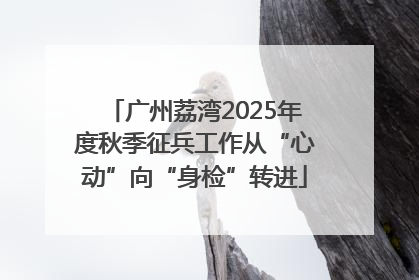 广州荔湾2025年度秋季征兵工作从“心动”向“身检”转进