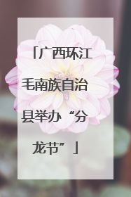广西环江毛南族自治县举办“分龙节”