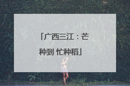 广西三江：芒种到 忙种稻