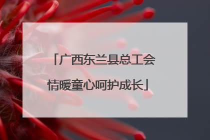 广西东兰县总工会情暖童心呵护成长