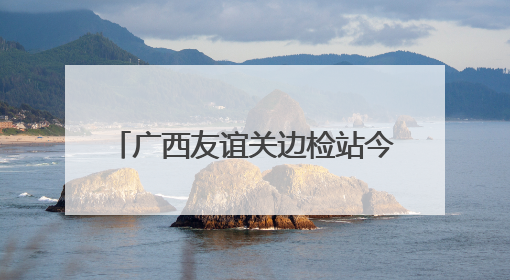 广西友谊关边检站今年累计验放出入境人员超150万人次