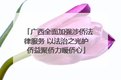 广西全面加强涉侨法律服务 以法治之光护侨益聚侨力暖侨心