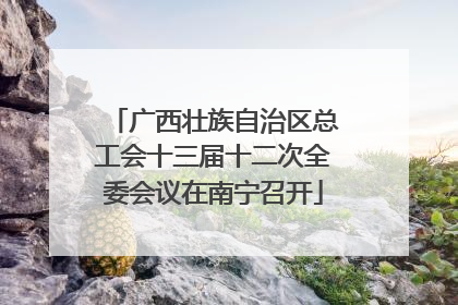 广西壮族自治区总工会十三届十二次全委会议在南宁召开