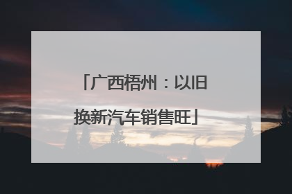 广西梧州：以旧换新汽车销售旺
