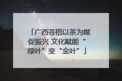 广西苍梧以茶为媒促振兴 文化赋能“绿叶”变“金叶”