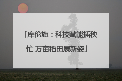 库伦旗：科技赋能插秧忙 万亩稻田展新姿
