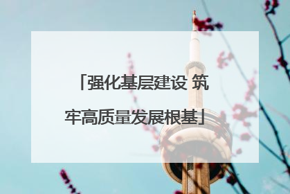 强化基层建设 筑牢高质量发展根基