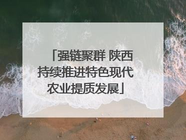 强链聚群 陕西持续推进特色现代农业提质发展