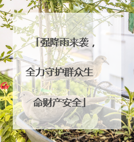 强降雨来袭，全力守护群众生命财产安全