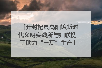 开封杞县高阳镇新时代文明实践所与妇联携手助力“三夏”生产