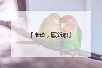 张瑾，履新职