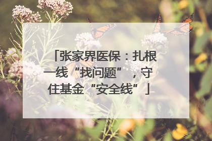 张家界医保：扎根一线“找问题”，守住基金“安全线”