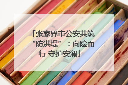 张家界市公安共筑“防洪堤”：向险而行 守护安澜