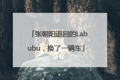 张朝阳退回的Labubu，换了一辆车
