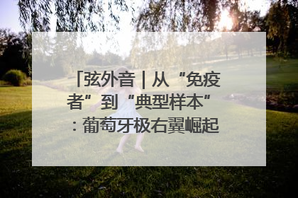 弦外音｜从“免疫者”到“典型样本”：葡萄牙极右翼崛起背后的欧洲困局