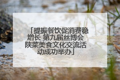 提振餐饮促消费稳增长 第九届丝博会陕菜美食文化交流活动成功举办