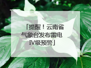 提醒！云南省气象台发布雷电Ⅳ级预警