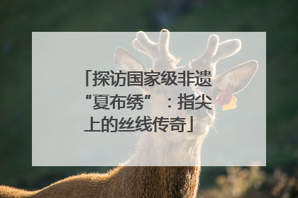 探访国家级非遗“夏布绣”：指尖上的丝线传奇