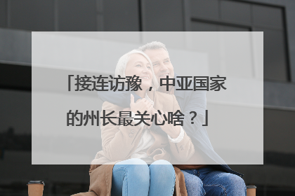 接连访豫，中亚国家的州长最关心啥？