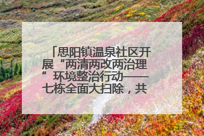 思阳镇温泉社区开展“两清两改两治理”环境整治行动——七栋全面大扫除，共建洁净家园