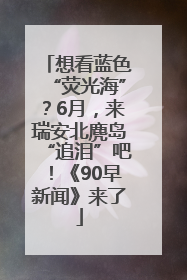 想看蓝色“荧光海”？6月，来瑞安北麂岛“追泪”吧！《90早新闻》来了