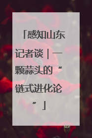 感知山东记者谈｜一颗蒜头的“链式进化论”