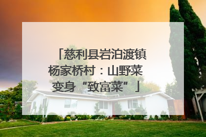 慈利县岩泊渡镇杨家桥村：山野菜变身“致富菜”
