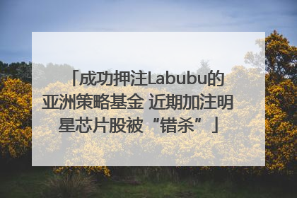成功押注Labubu的亚洲策略基金 近期加注明星芯片股被“错杀”