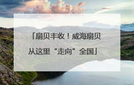 扇贝丰收！威海扇贝从这里“走向”全国