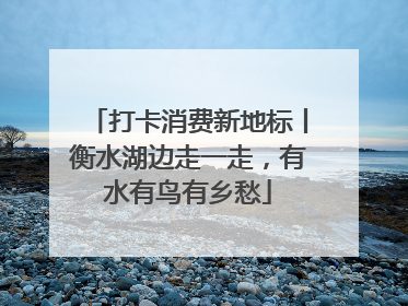 打卡消费新地标丨衡水湖边走一走，有水有鸟有乡愁