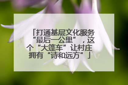 打通基层文化服务“最后一公里”，这个“大篷车”让村庄拥有“诗和远方”
