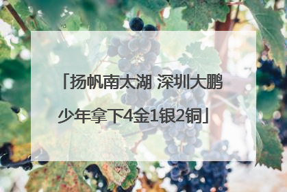 扬帆南太湖 深圳大鹏少年拿下4金1银2铜
