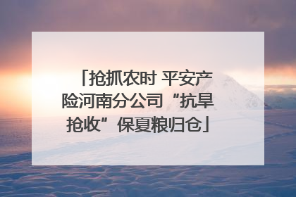 抢抓农时 平安产险河南分公司“抗旱抢收”保夏粮归仓