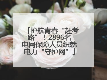 护航青春“赶考路”！2896名电网保障人员织就电力“守护网”