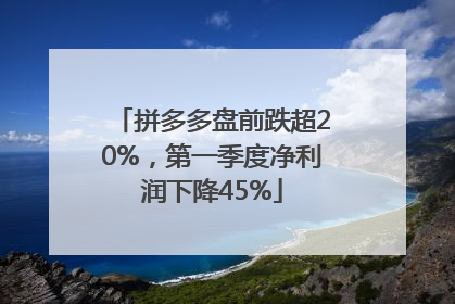 拼多多盘前跌超20%，第一季度净利润下降45%