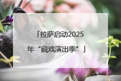 拉萨启动2025年“藏戏演出季”