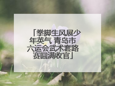 拳脚生风展少年英气 青岛市六运会武术套路赛圆满收官