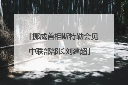 挪威首相斯特勒会见中联部部长刘建超