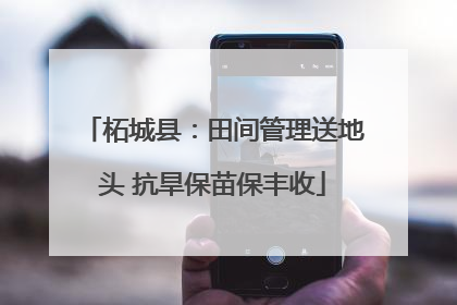 柘城县：田间管理送地头 抗旱保苗保丰收