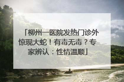 柳州一医院发热门诊外惊现大蛇！有毒无毒？专家辨认：性情温顺
