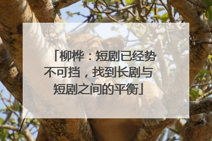 柳桦：短剧已经势不可挡，找到长剧与短剧之间的平衡