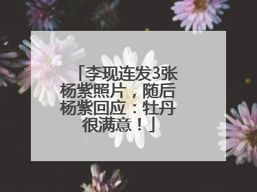 李现连发3张杨紫照片，随后杨紫回应：牡丹很满意！
