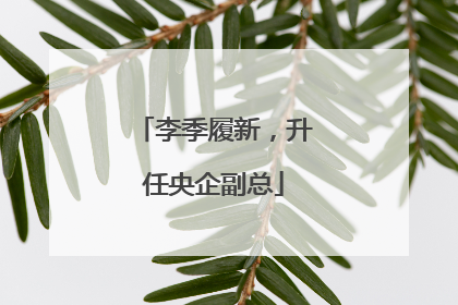 李季履新，升任央企副总