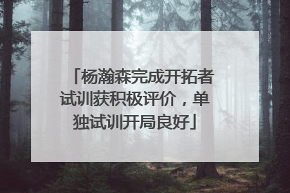 杨瀚森完成开拓者试训获积极评价，单独试训开局良好